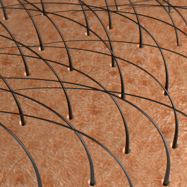 Kit Make Madura Le Moritz