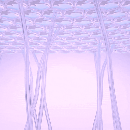 Sérum Redutor Instantâneo de Linhas Le Moritz