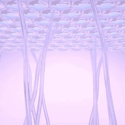 Kit Verão 2026 Le Moritz